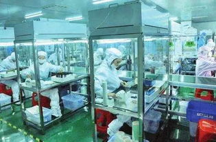 邵陽(yáng) 企業(yè)軟件開(kāi)發(fā)的創(chuàng)新實(shí)踐者